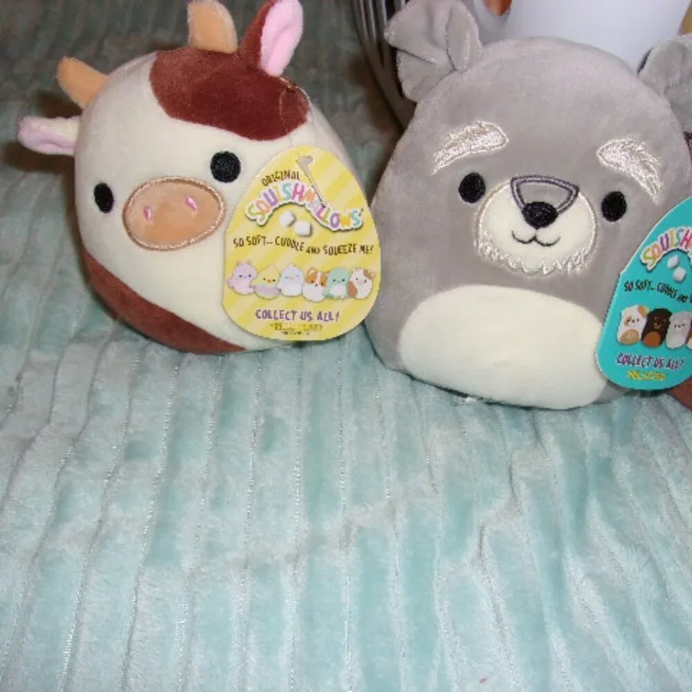 Bundle of 4 small Squishmallows New with tags